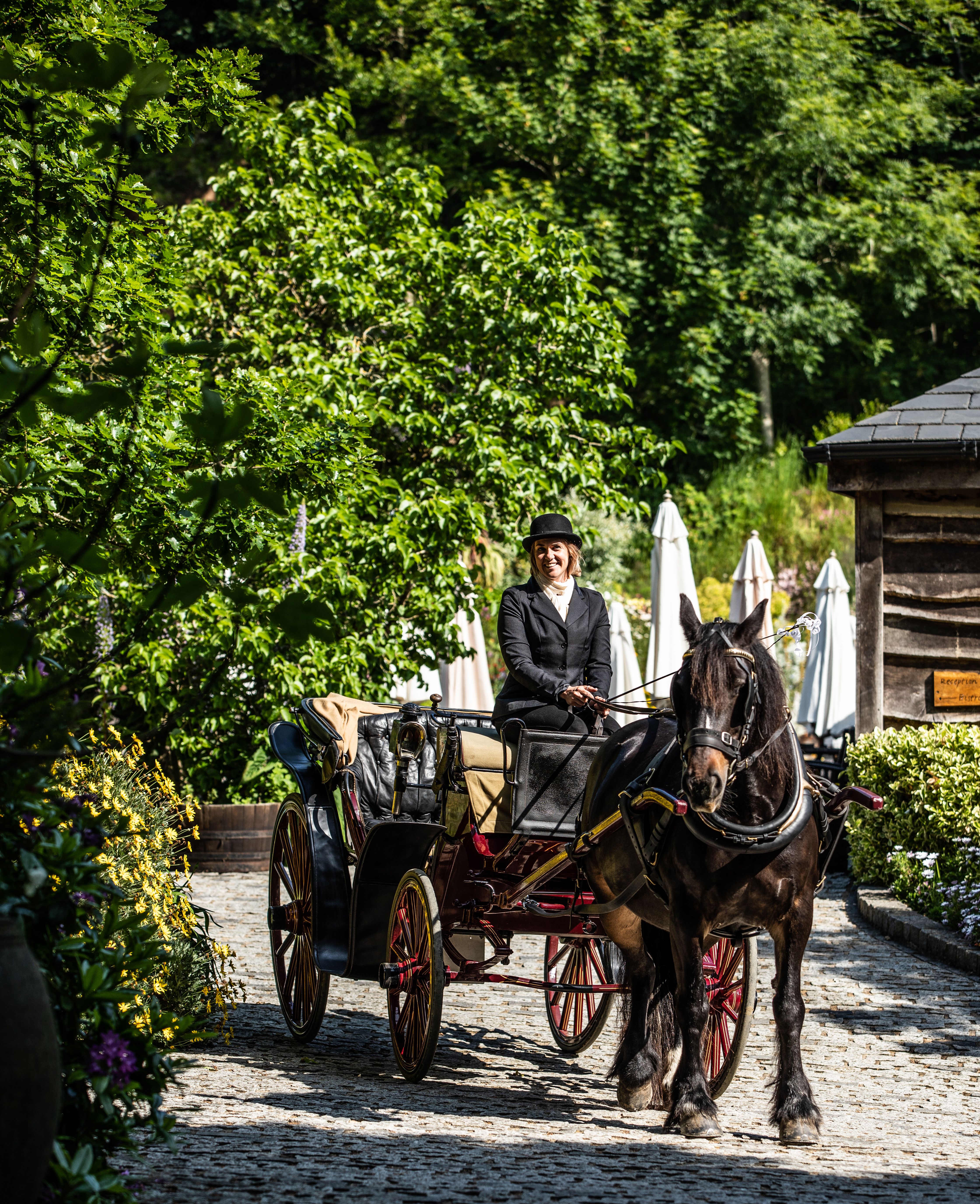 stocks horse and carriage